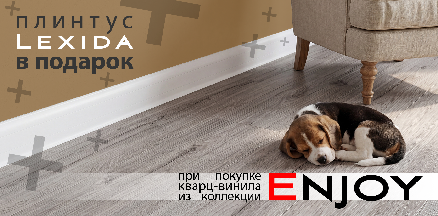 Enjoy + Lexida